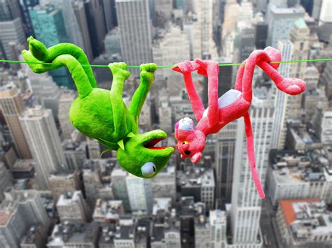 Free Images : flower, height, kermit, depend, plush toys, high ropes, the pink panter 2272x1703 ...