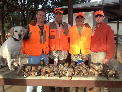 UNGUIDED QUAIL HUNT – HALF DAY PACKAGE | Schmidt Double T Ranches