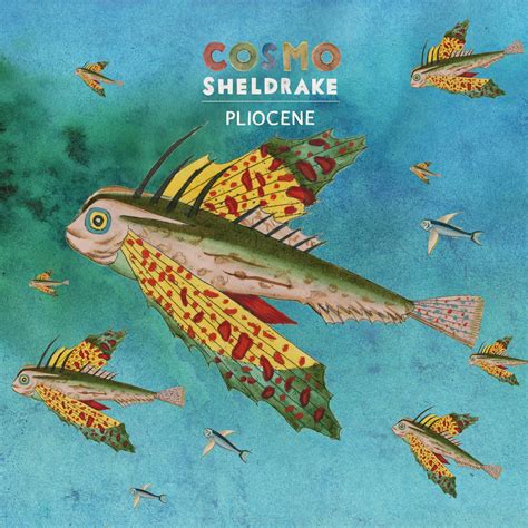 Stream Free Songs by Cosmo Sheldrake & Similar Artists | iHeartRadio