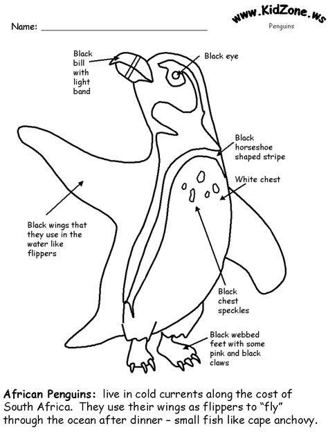 Penguin Facts Coloring Book Page