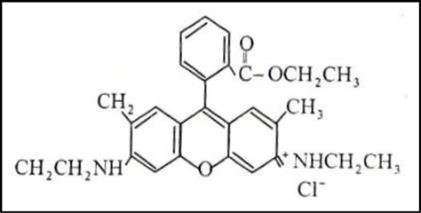 The structure of Rhodamine 6G dye. 2.2 Eclipsing Z-scan The nonlinear ...