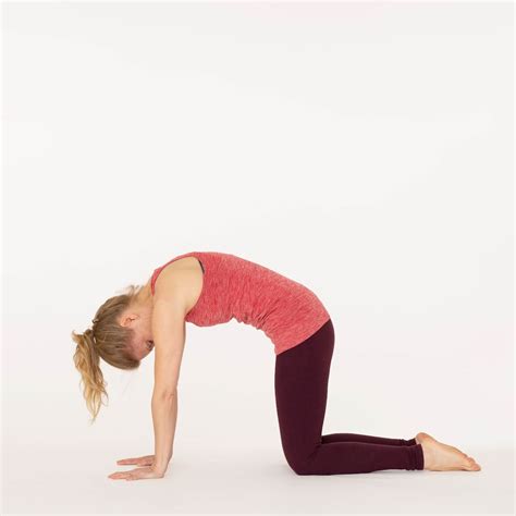 Cat Pose benefits, tips and variations - Ekhart Yoga