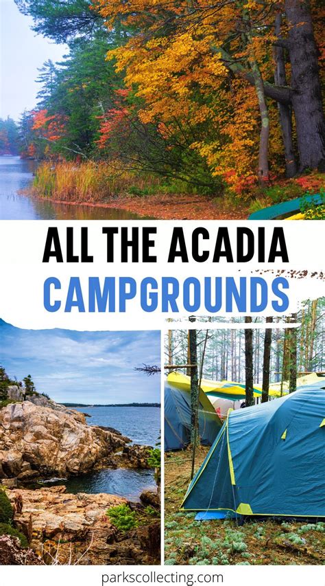 Comprehensive guide to acadia national park camping – Artofit