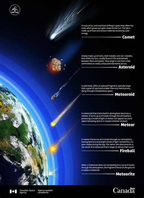 Comet, meteor or meteorite? - Illustration | Astronomy facts, Earth and ...