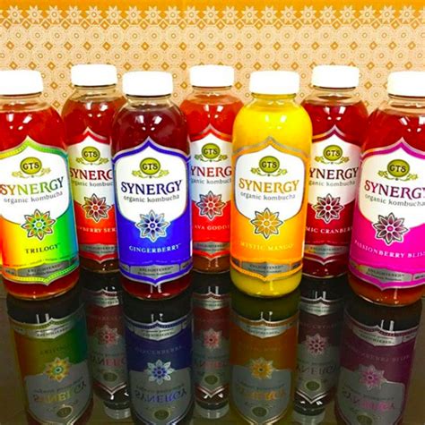 Everything You Need to Know About Choosing the Best Kombucha Brand