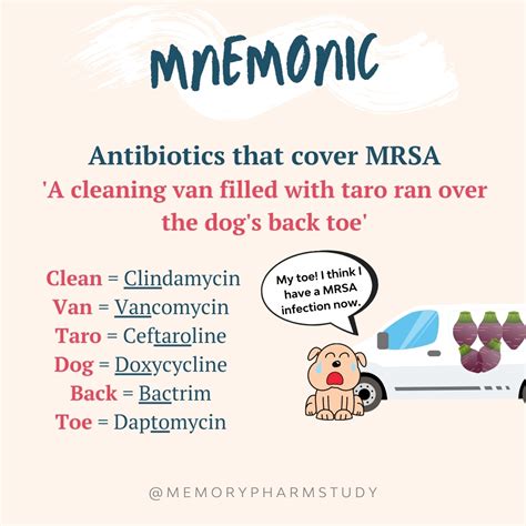 Antibiotics that Cover MRSA – Memory Pharm