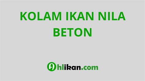 Kolam Ikan Nila Beton - Ahlikan.com