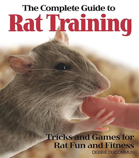 The Complete Guide to Rat Training (Paperback) - Walmart.com