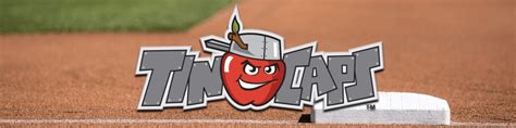 Why TinCaps? | TinCaps