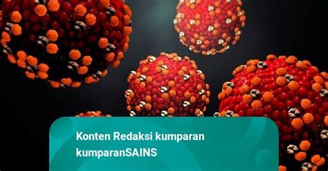 Ilmuwan China Ciptakan Virus Mutan Ebola, Efek Infeksinya Mengerikan | kumparan.com