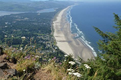 Top 10 things to be wild about in Tillamook County (photo show) - oregonlive.com