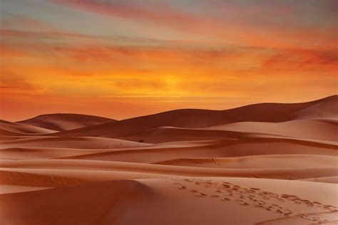 Majestic mirages of scorching heat: The world's largest deserts | Daily ...