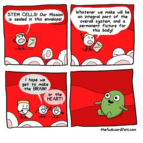 stem cells #cordbloodvsstemcells | Awkward yeti, Really funny memes, Science humor