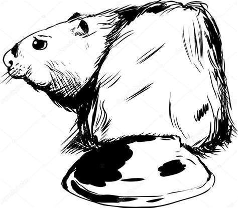 Beaver Outline Drawing at GetDrawings | Free download