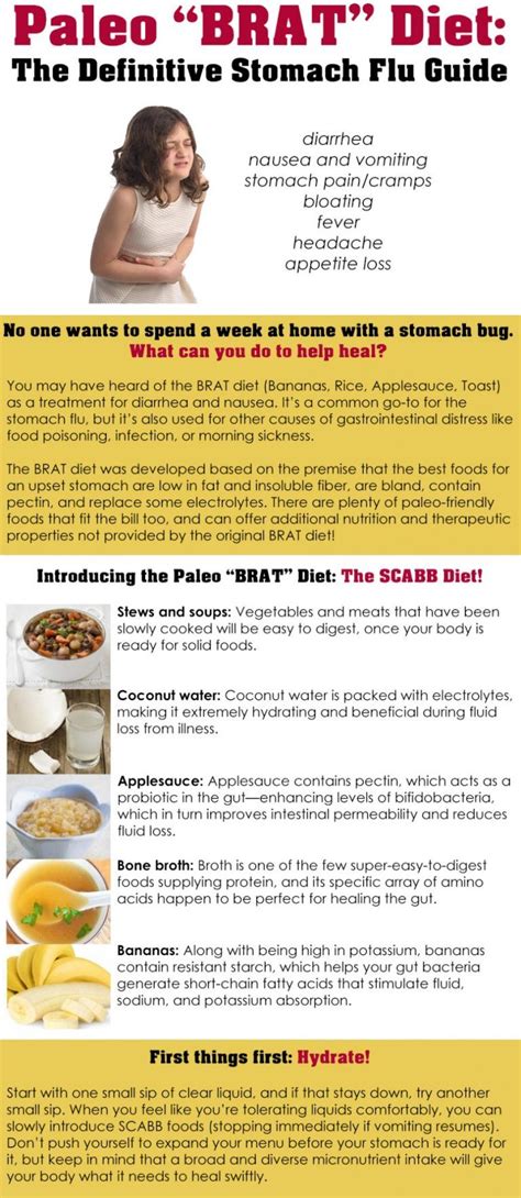 Paleo “BRAT” Diet: The Definitive Stomach Flu Guide | Brat diet ...