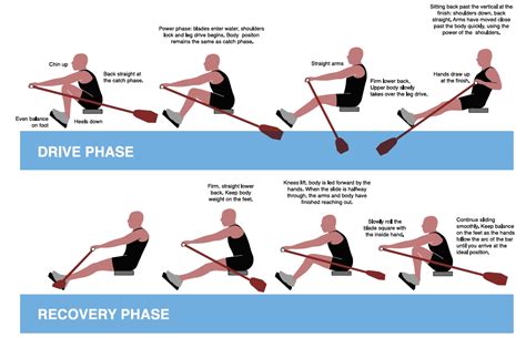 Is rowing hard on lower back? – Fabalabse