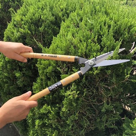 Pruning Shears: Choosing the Right Pruning Shears for Your Garden - Matchness.com