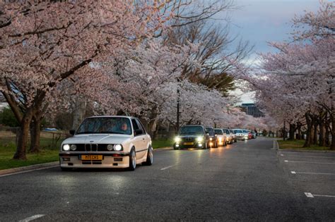 The Cherry Blossom Run Celebrates Three Years - BimmerLife