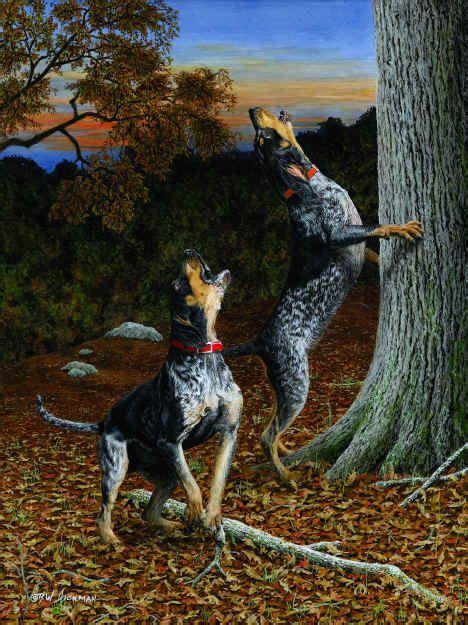 bluetick coonhound | Click on picture to view full-size image | Hounds ...