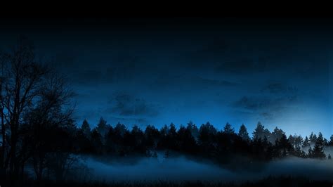 🔥 [30+] Night Forest Wallpapers | WallpaperSafari