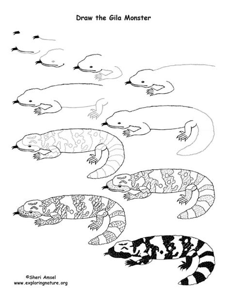 Gila Monster Drawing Lesson