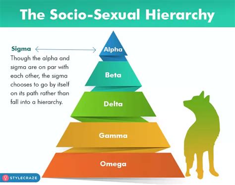 Who Is A Sigma Male? Personality, Benefits, & Drawbacks