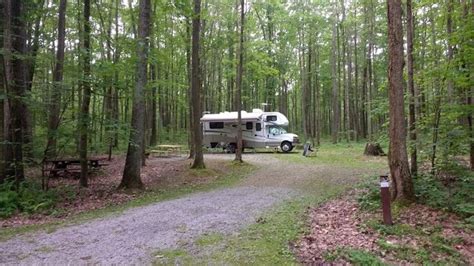 Allegheny National Forest Camping - change comin