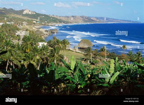 Bathsheba Barbados Caribbean Stock Photo - Alamy