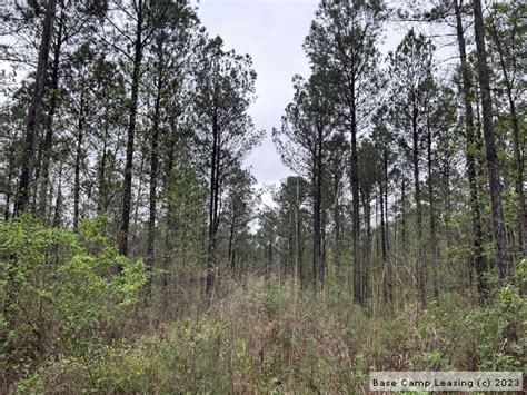 Tishomingo County Mississippi Hunting Lease - Property #11015 | Base Camp Leasing