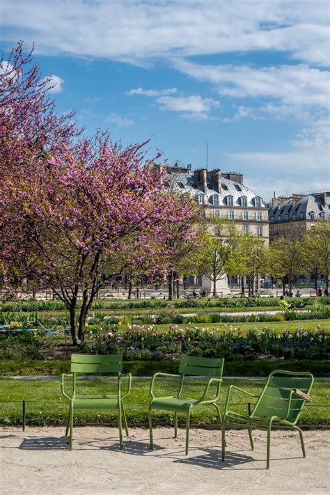 A Walk Through the Tuileries Garden in the Spring - Landen Kerr