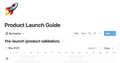 Tania Cheung's Product Launch Guide: Plan Your Success with Notion