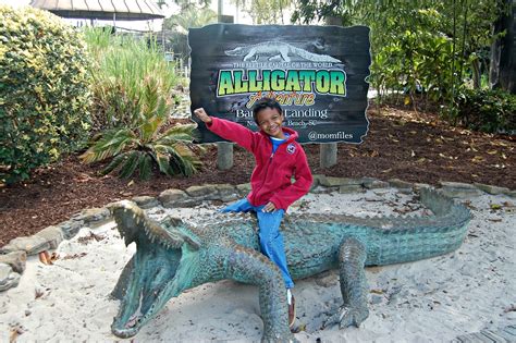 Alligator Adventure Myrtle Beach Sc - Beach