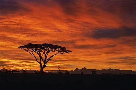 African Sunrise | JuzaPhoto