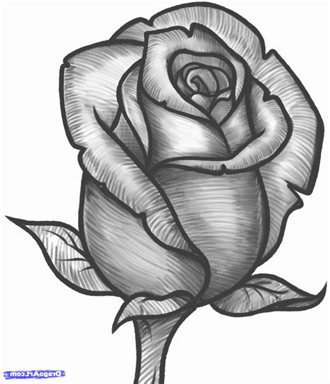 Rose Pencil Drawing | Free download on ClipArtMag