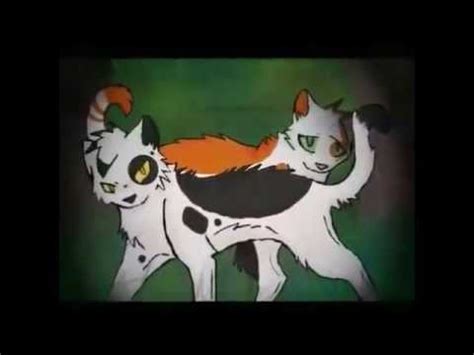 Memories-Swiftpaw and Brightpaw - YouTube