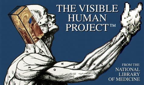 The Visible Human Project