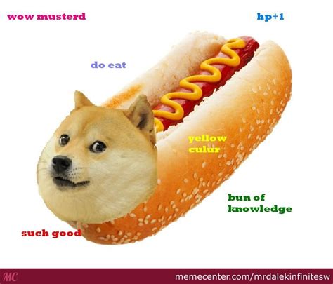 Hot Doge | Doge, Doge dog, Dog memes