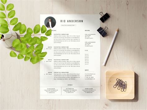 Free Casting Director Resume Template with Professional Look