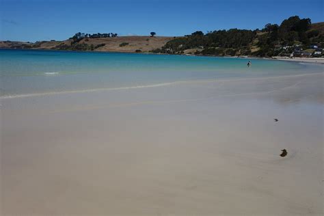 Flickriver: Most interesting photos from Boat Harbour Beach, Tasmania, Australia