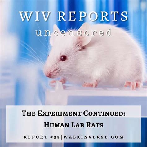 The Experiment Continued, Human Lab Rats | Walk In Verse