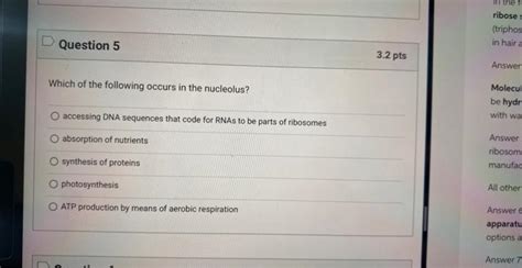 Solved Which of the following occurs in the nucleolus? | Chegg.com