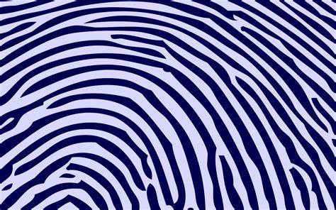 Download Abstract Finger Print HD Wallpaper