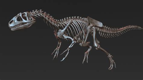 ArtStation - Allosaurus Skeleton, Evgeniy Mahnyov | Skeleton model, Nature animals, Animals