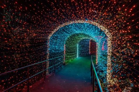 Holiday Lights at Atlanta Botanical Gardens! | Atlanta botanical garden ...