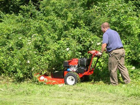 Finding the Best Walk Behind Brush Cutter for the Job | Walk behind, Brush, Cutter