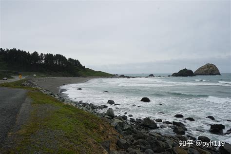 海岸线上的巨人——红木国家公园 - 知乎