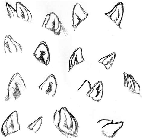 Design to draw - Draw Pattern - Wolf ear study... Draw Pattern & inspiration Preview – Pattern ...