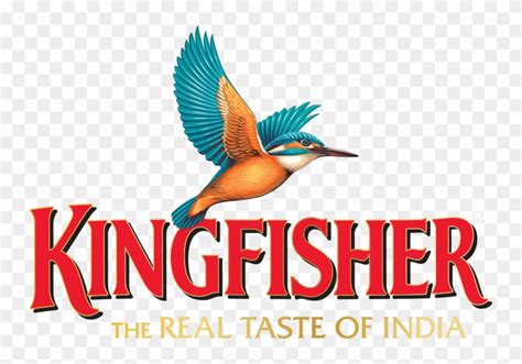 Kingfisher Logo - Kingfisher Premium Logo Png, Transparent Png ...