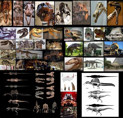 T. rex vs Giganotosaurus vs Spinosaurus : r/Dinosaurs