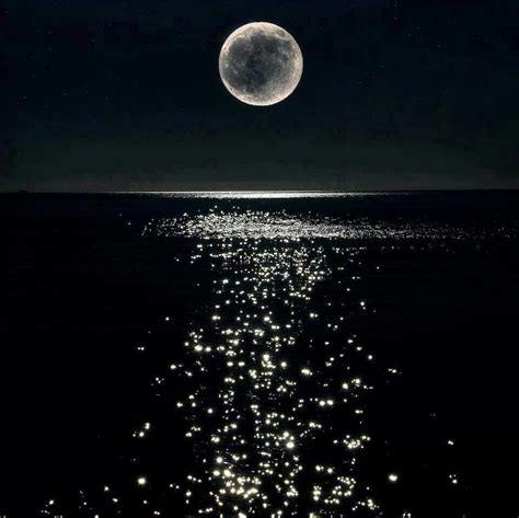 Pin on Photography | Shoot the moon, Beautiful moon, Moonlight